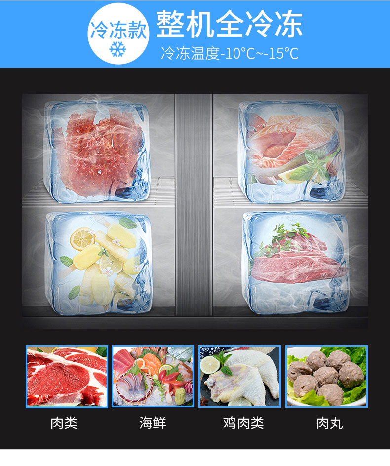 驰能立式冷柜冷冻款